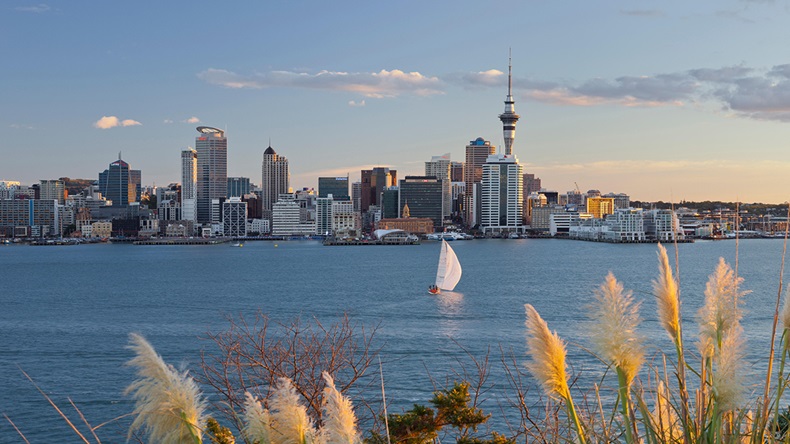 Auckland, New Zealand (Image Professionals GmbH/Alamy Stock Photo)