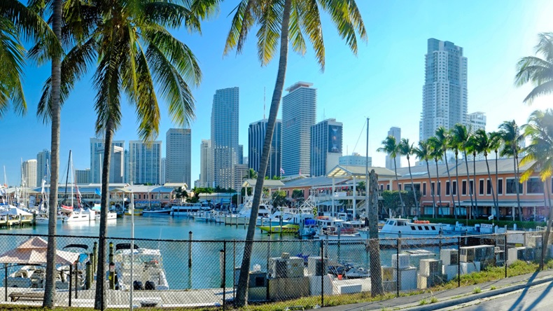 Miami, Florida (Brian Lawrence/Alamy Stock Photo)