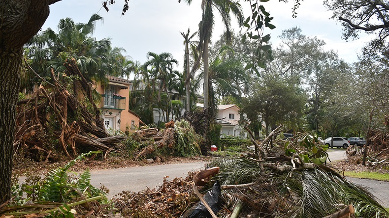 Hurricane Irma Miami (2017) (Lawoowoo/Shutterstock.com)