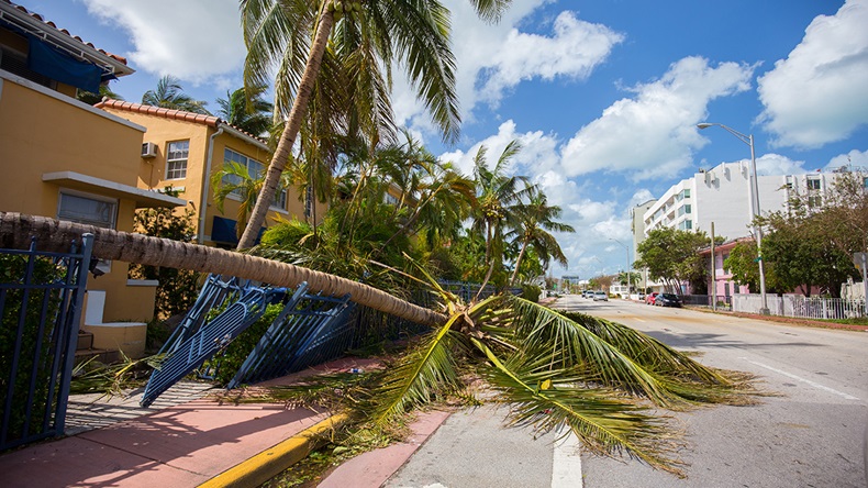 Hurricane Irma Miami Beach (2017) (Miami2you/Shutterstock.com)