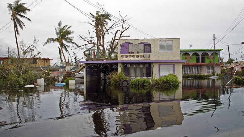 Hurricane Maria Puerto Rico (2017) (Yuisa Rios/Fema)