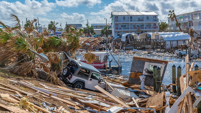 Hurricane Michael Florida damage (2018) (Terry Kelly/Shutterstock.com)
