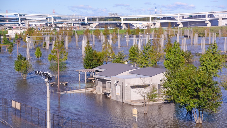 Typhoon Hagibis flooding (2019) (Kathy Matsunami/Shutterstock.com)