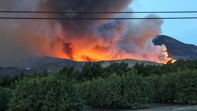California Thomas fire (2017) (BrittanyNY/Shutterstock.com)