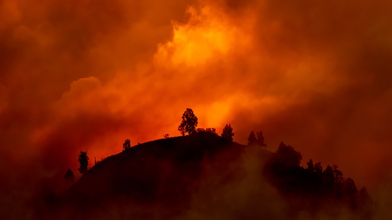 California wildfire (2017) (TheVagabond V.Schaal/Shutterstock.com)
