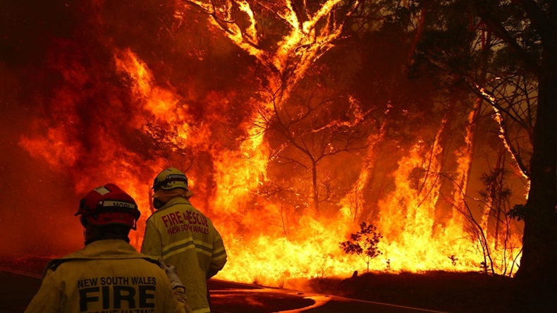 New South Wales, Australia bushfire (1234rf/Shutterstock.com)