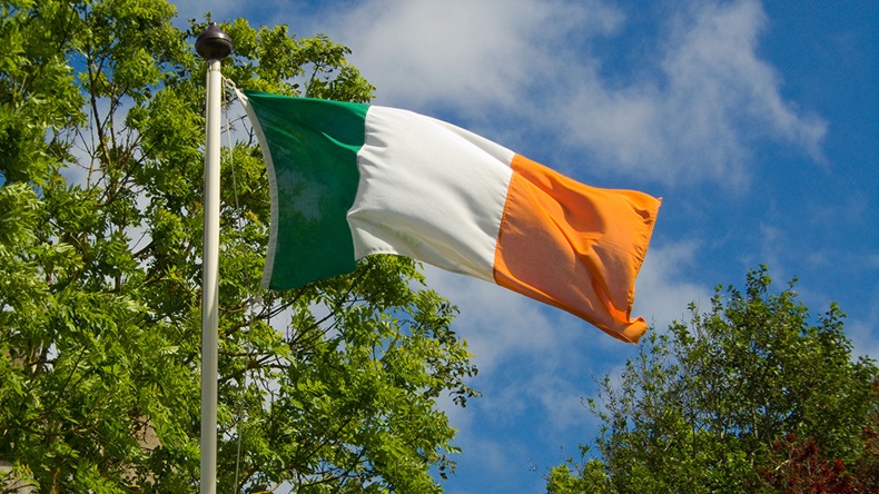 Republic of Ireland flag (Barry Mason/Alamy Stock Photo)
