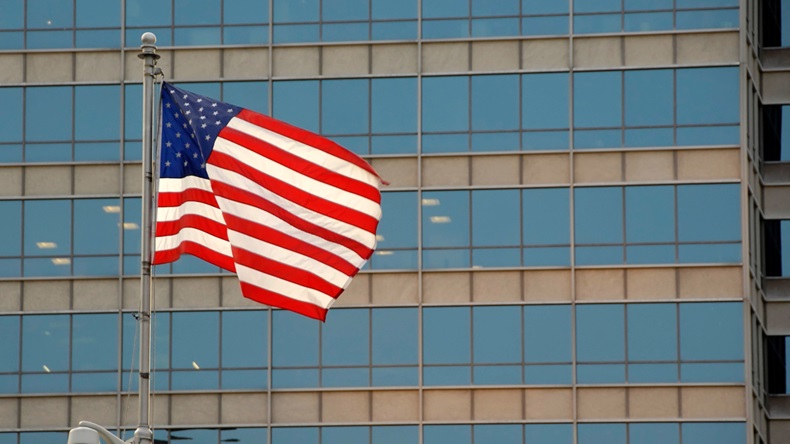 US flag (Ilene MacDonald/Alamy Stock Photo)