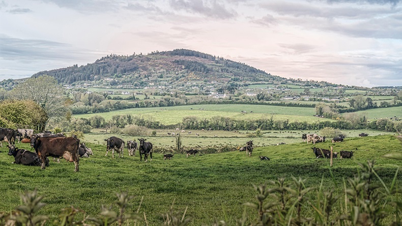 Ireland farm (Vitalli/Alamy Stock Photo)