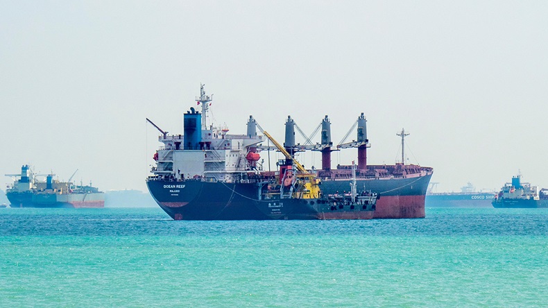 Cargo vessels (domonabikeSingapore/Alamy Stock Photo)