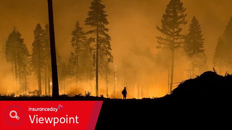 California wildfire (Wildfire Image/Alamy Stock Photo)