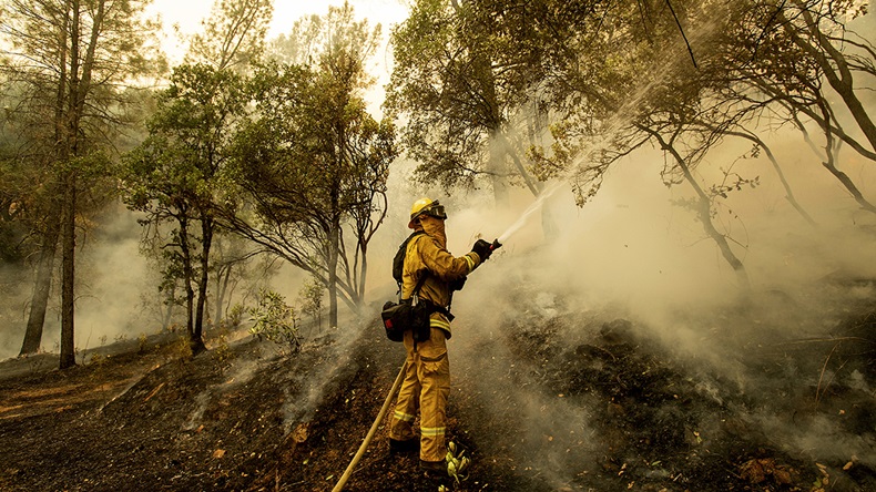 California Carr fire (2018) (Noah Berger/AP)
