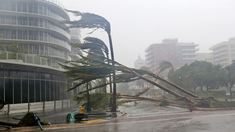 Hurricane Irma Florida (2017) (Wilfredo Lee/AP)