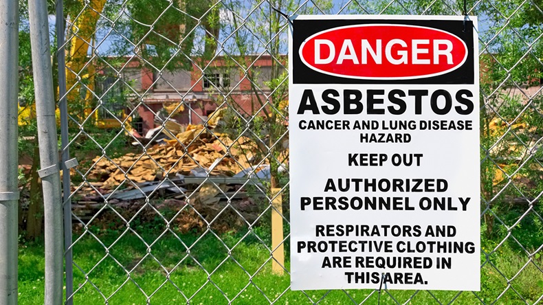 Asbestos (Bronwyn Photo/Shutterstock.com)