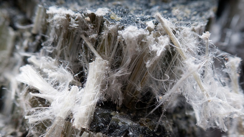 Asbestos fibres (farbled/Shutterstock.com)