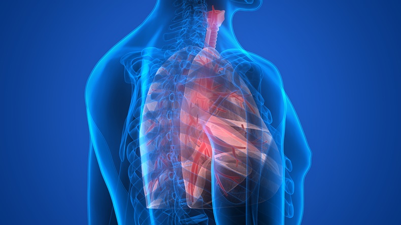 Lung cancer (Magic mine/Shutterstock.com)