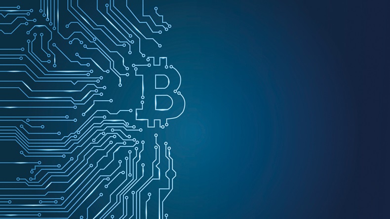 Bitcoin (Anasteisha/Shutterstock.com)