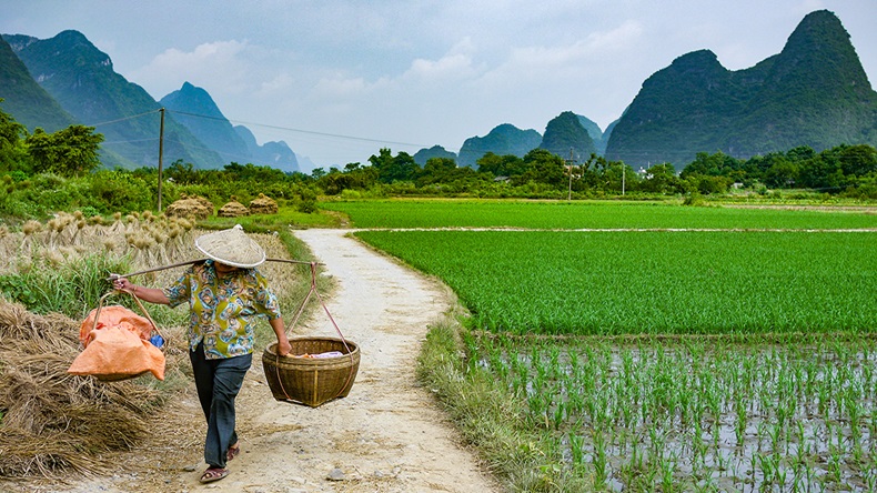 China farmer (Benjamin van der Spek/Shutterstock.com)