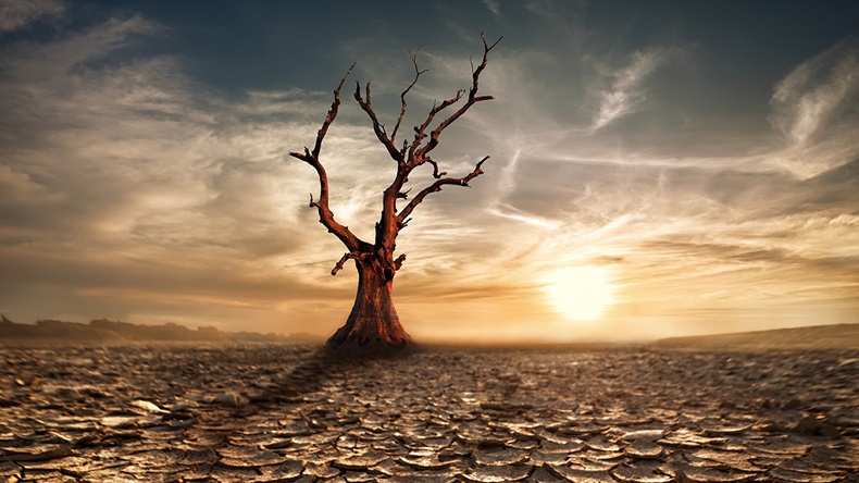 Climate change (Perfect Lazybones/Shutterstock.com)