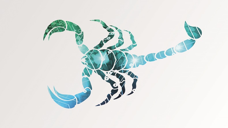 Cyber scorpion