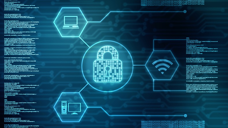 Cyber security (jijomathaidesigners/Shutterstock.com)
