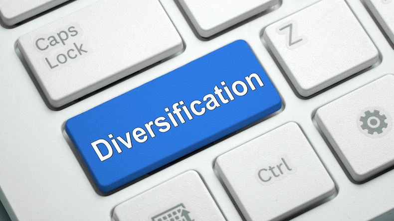 Diversification (masuti/Shutterstock.com)