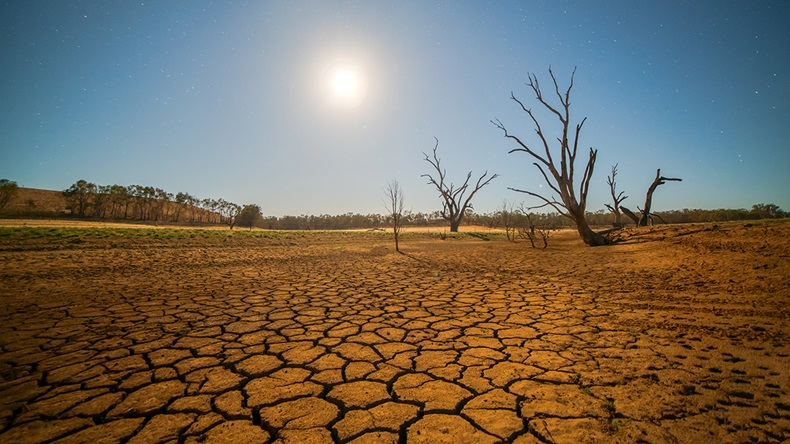Drought (idiz/Shutterstock.com)