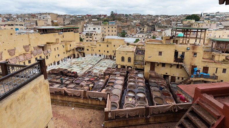 Tanneries in Fez, Morocco (Michal Balada/Shutterstock.com)