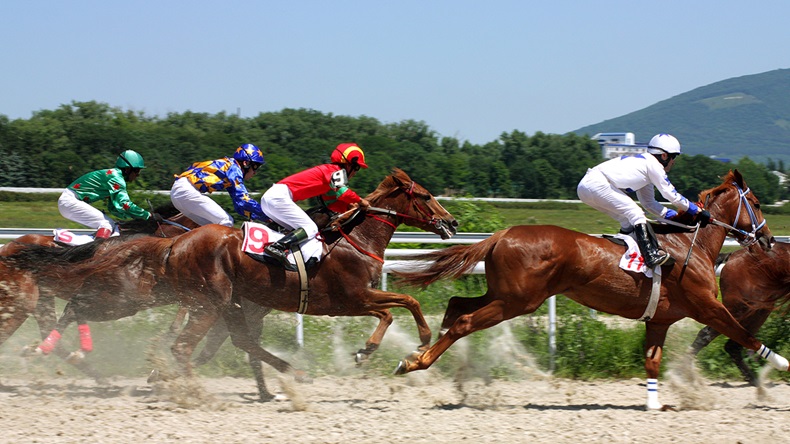 Race horses (Mikhail Pogosov/Shutterstock.com)