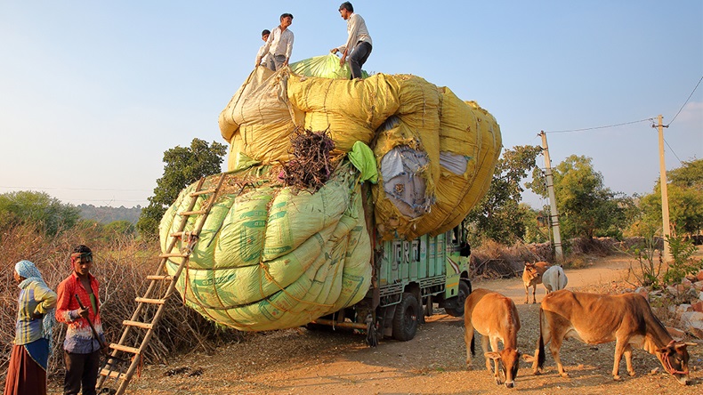 Indian farmers (Christophe Cappelli/Shutterstock.com)