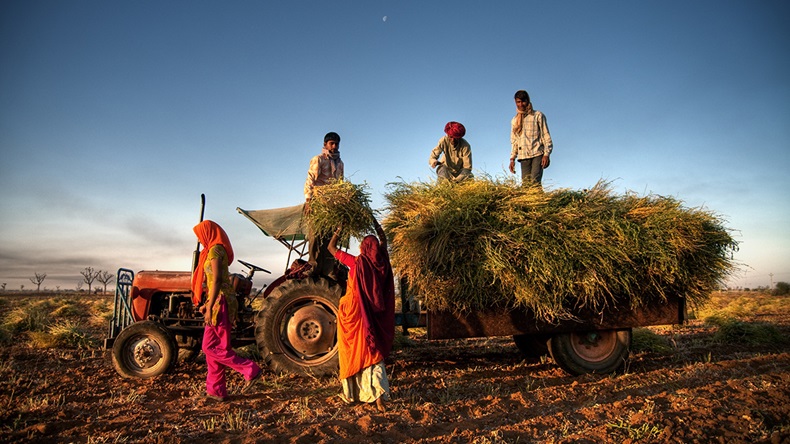 Indian farmer (Rawpixel.com/Shutterstock.com)