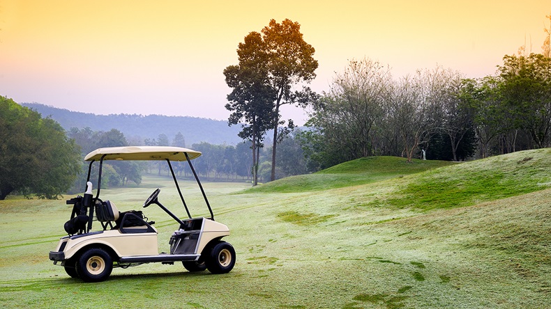 Golf buggy (501room/Shutterstock.com)