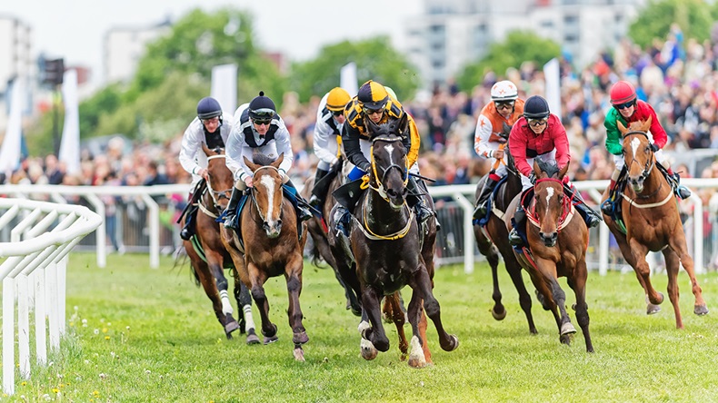 Race horses (Stefan Holm/Shutterstock.com)