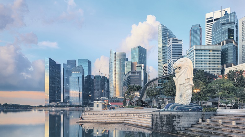Singapore (Lena Serditova/Shutterstock.com)