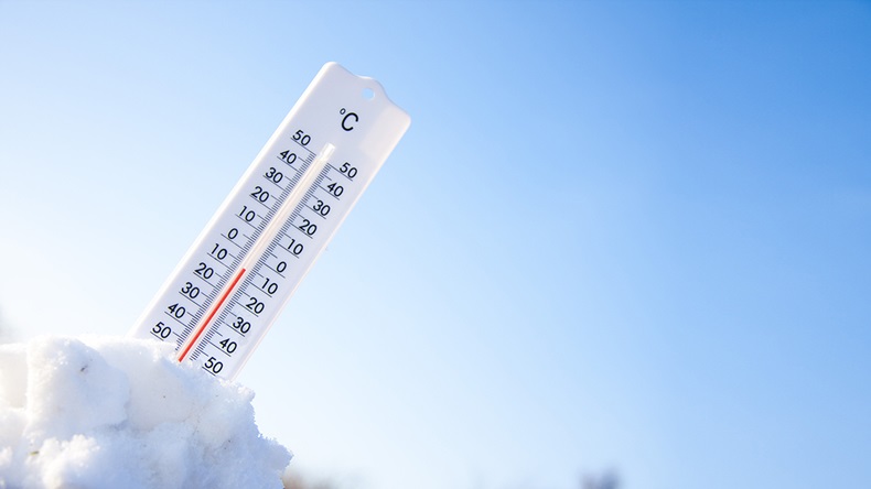 Thermometer (Grzejnik/Shutterstock.com)