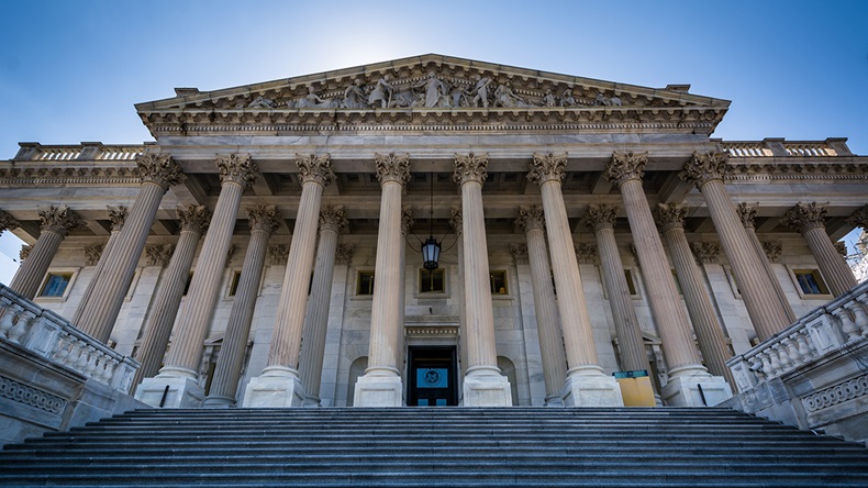 US House of Representatives, Washington DC (Jon Bilous/Shutterstock.com)