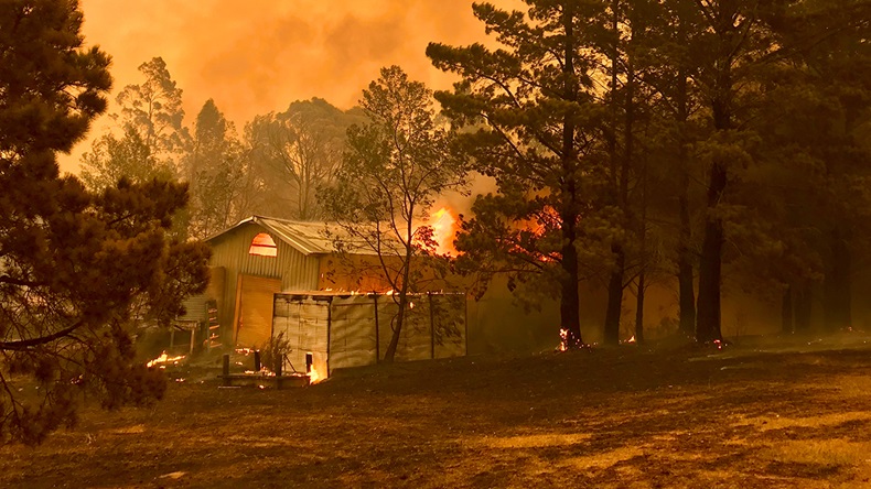 New South Wales, Australia bushfire (2020) (Carl Oberg/Shutterstock.com)