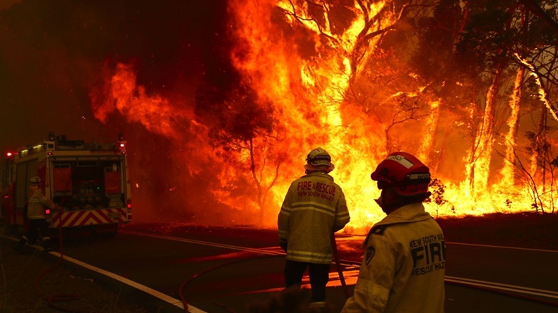 New South Wales, Australia bushfire (2020) (1234rf/Shutterstock.com)