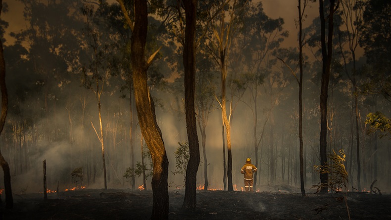 Queensland, Australia bushfire (2020) (Stu Shaw/Shutterstock.com)