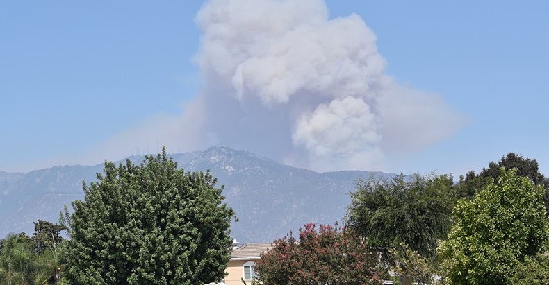 Bobcat fire, Los Angeles, California (Kongfha C/Shutterstock.com)