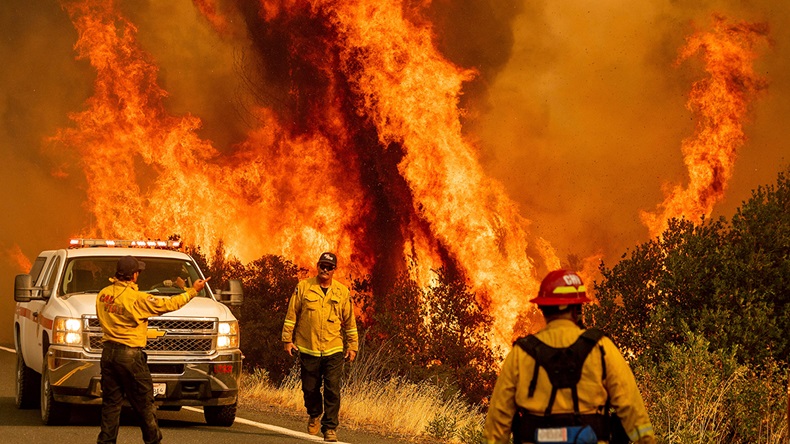 California LNU Lightning Complex fire (2020) (StratosBril/Shutterstock.com)