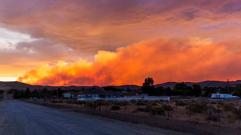 California wildfire (2020) (Elizabeth A Cummings/Shutterstock.com)